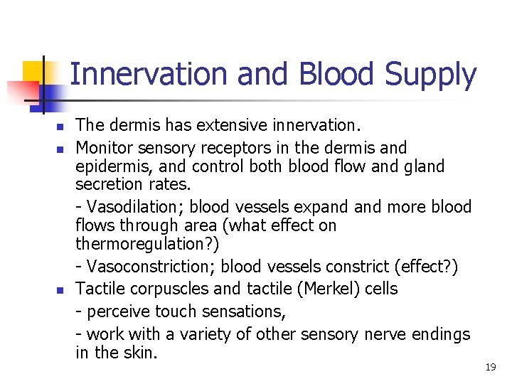Innervation and Blood Supply n n n The dermis has extensive innervation. Monitor sensory Innervation and Blood Supply n n n The dermis has extensive innervation. Monitor sensory