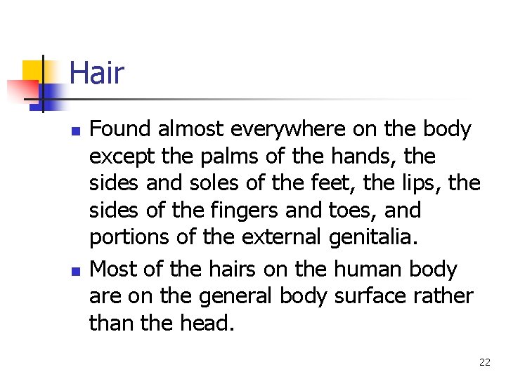 Hair n n Found almost everywhere on the body except the palms of the Hair n n Found almost everywhere on the body except the palms of the