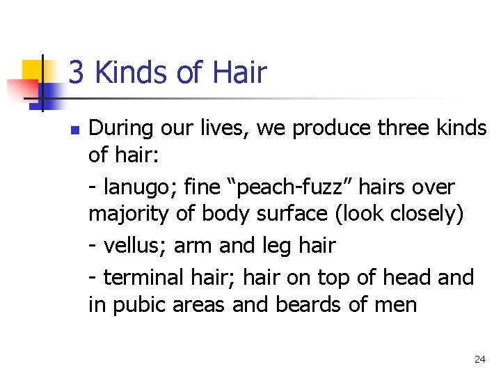 3 Kinds of Hair n During our lives, we produce three kinds of hair: 3 Kinds of Hair n During our lives, we produce three kinds of hair: