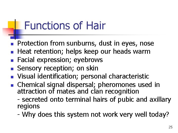 Functions of Hair n n n Protection from sunburns, dust in eyes, nose Heat Functions of Hair n n n Protection from sunburns, dust in eyes, nose Heat