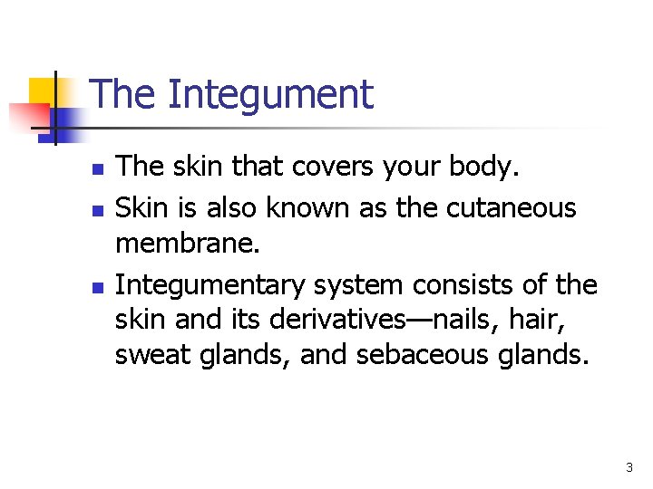 The Integument n n n The skin that covers your body. Skin is also The Integument n n n The skin that covers your body. Skin is also