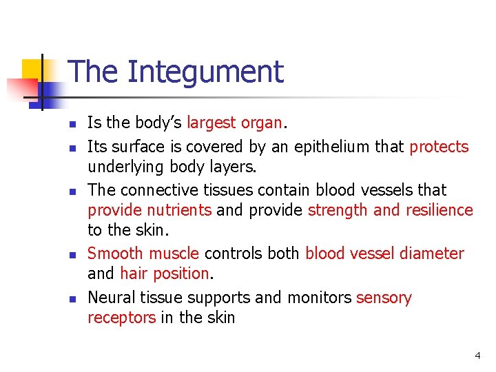 The Integument n n n Is the body’s largest organ. Its surface is covered The Integument n n n Is the body’s largest organ. Its surface is covered