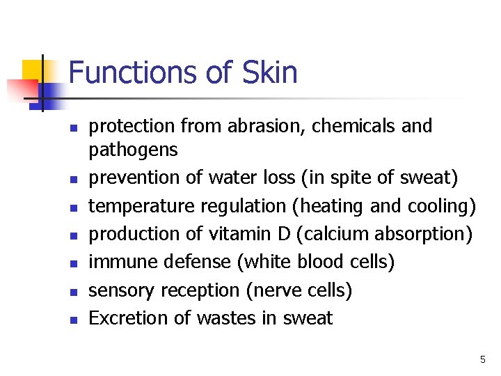 Functions of Skin n n n protection from abrasion, chemicals and pathogens prevention of Functions of Skin n n n protection from abrasion, chemicals and pathogens prevention of