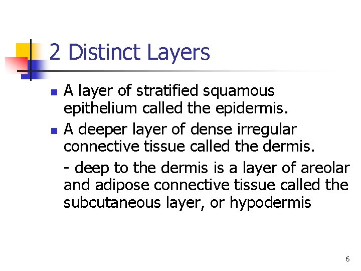 2 Distinct Layers n n A layer of stratified squamous epithelium called the epidermis. 2 Distinct Layers n n A layer of stratified squamous epithelium called the epidermis.