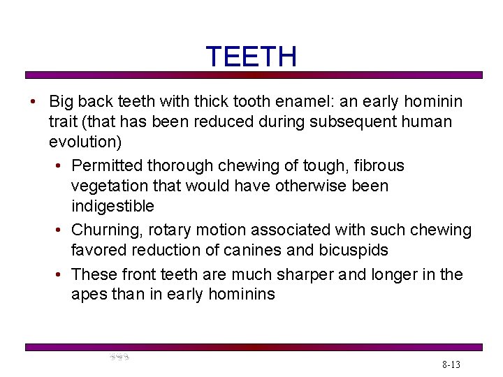 TEETH • Big back teeth with thick tooth enamel: an early hominin trait (that