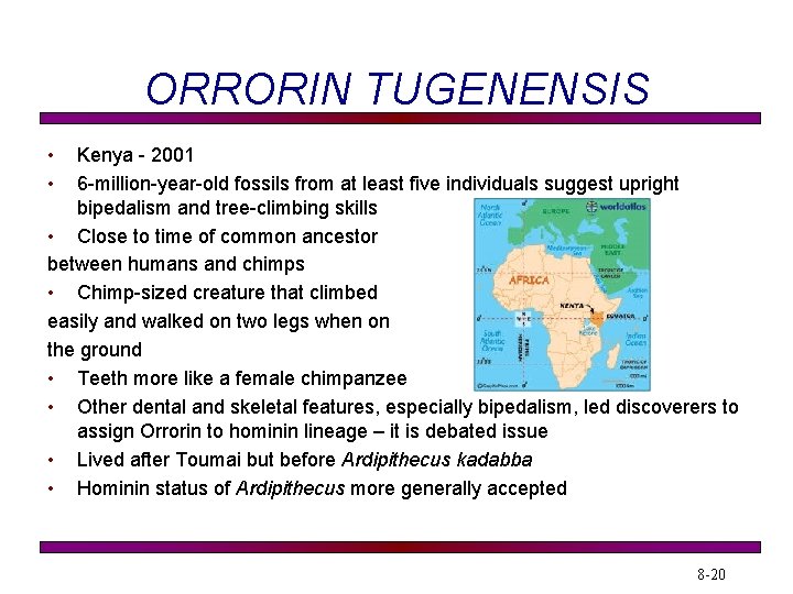 ORRORIN TUGENENSIS • • Kenya - 2001 6 -million-year-old fossils from at least five