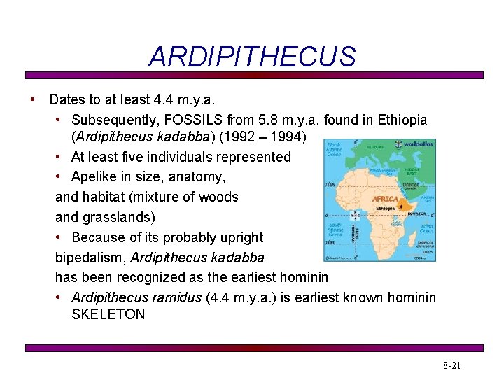 ARDIPITHECUS • Dates to at least 4. 4 m. y. a. • Subsequently, FOSSILS