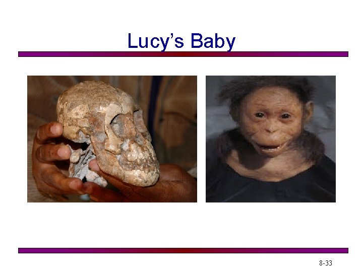 Lucy’s Baby 8 -33 