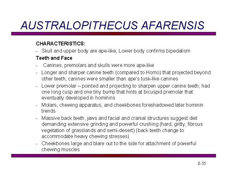 AUSTRALOPITHECUS AFARENSIS CHARACTERISTICS: - Skull and upper body are ape-like; Lower body confirms bipedalism