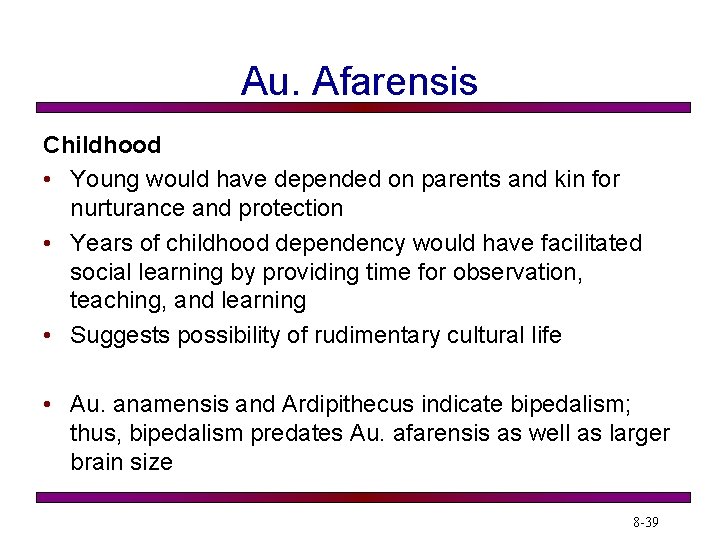 Au. Afarensis Childhood • Young would have depended on parents and kin for nurturance