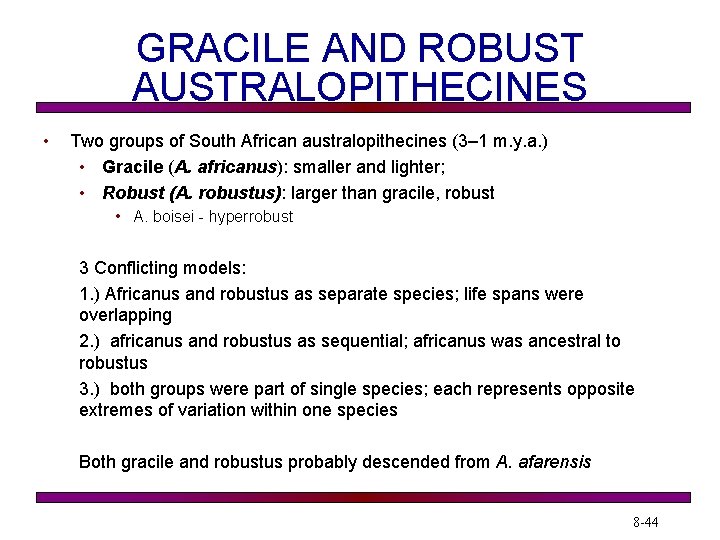 GRACILE AND ROBUST AUSTRALOPITHECINES • Two groups of South African australopithecines (3– 1 m.