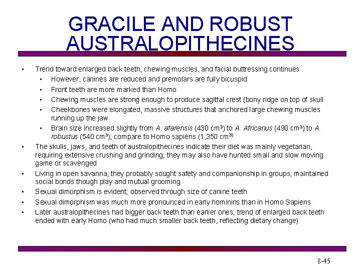 GRACILE AND ROBUST AUSTRALOPITHECINES • • • Trend toward enlarged back teeth, chewing muscles,