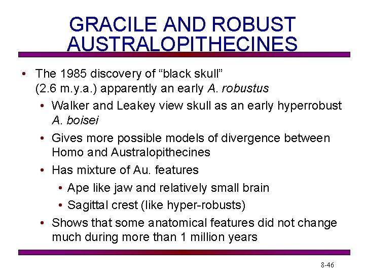 GRACILE AND ROBUST AUSTRALOPITHECINES • The 1985 discovery of “black skull” (2. 6 m.