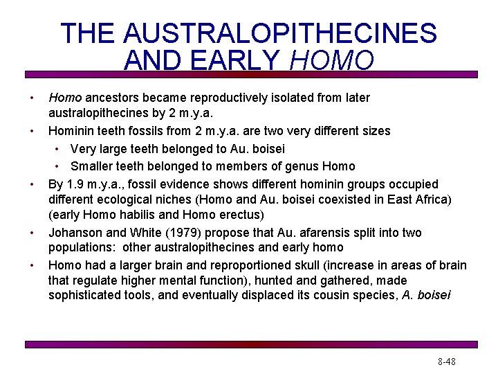 THE AUSTRALOPITHECINES AND EARLY HOMO • • • Homo ancestors became reproductively isolated from