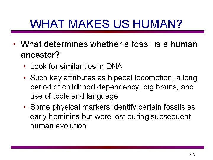 WHAT MAKES US HUMAN? • What determines whether a fossil is a human ancestor?