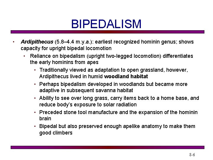 BIPEDALISM • Ardipithecus (5. 8– 4. 4 m. y. a. ): earliest recognized hominin