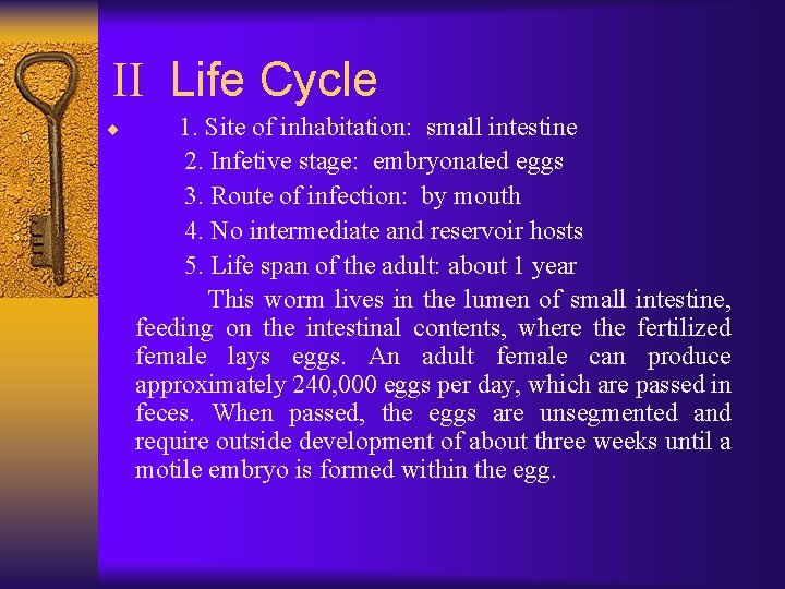 II Life Cycle ¨ 1. Site of inhabitation: small intestine 2. Infetive stage: embryonated