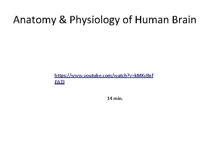 Anatomy & Physiology of Human Brain https: //www. youtube. com/watch? v=k. MKc 8 nf