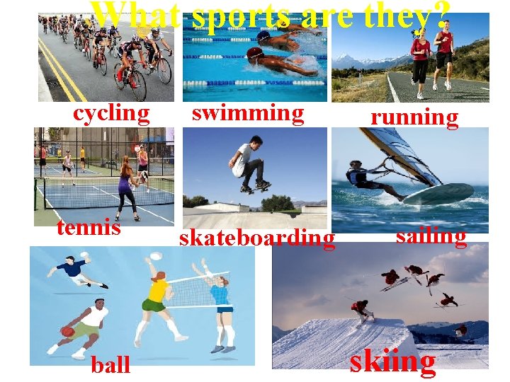 What sports are they? cycling tennis ball swimming skateboarding running sailing skiing 