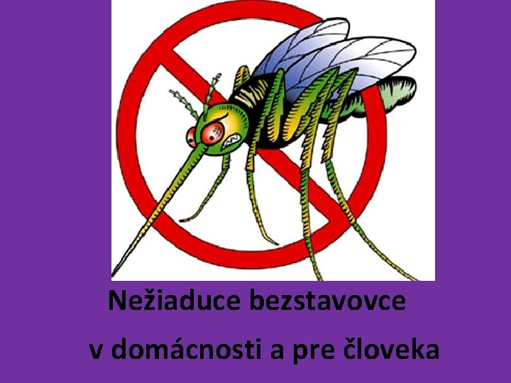 Nežiaduce bezstavovce v domácnosti a pre človeka 