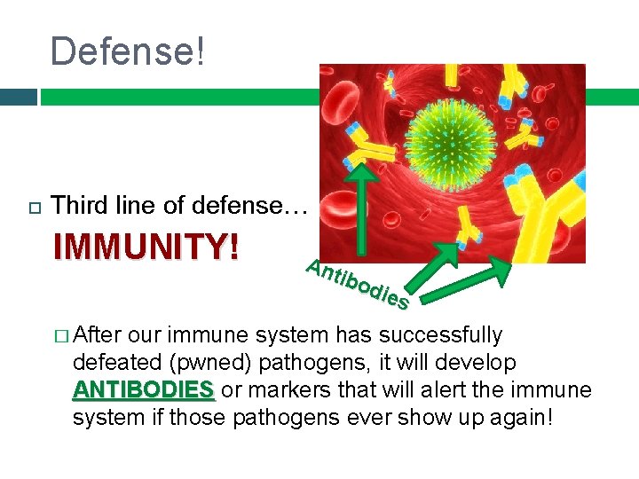 Defense! Third line of defense… IMMUNITY! � After Ant ibo die s our immune