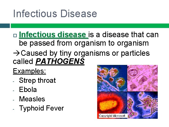 Infectious Disease Infectious disease is a disease that can be passed from organism to