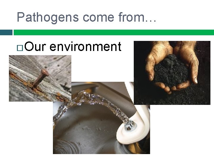 Pathogens come from… Our environment 