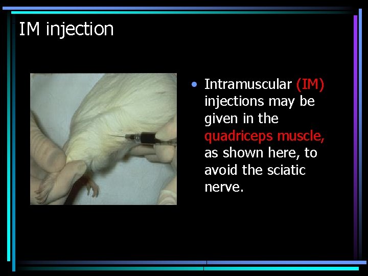 IM injection • Intramuscular (IM) injections may be given in the quadriceps muscle, as