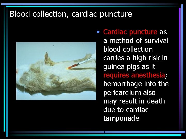 Blood collection, cardiac puncture • Cardiac puncture as a method of survival blood collection