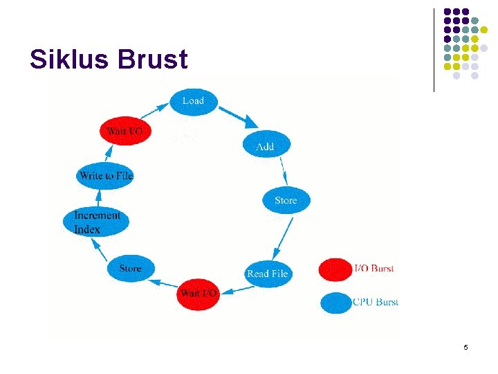 Siklus Brust 5 