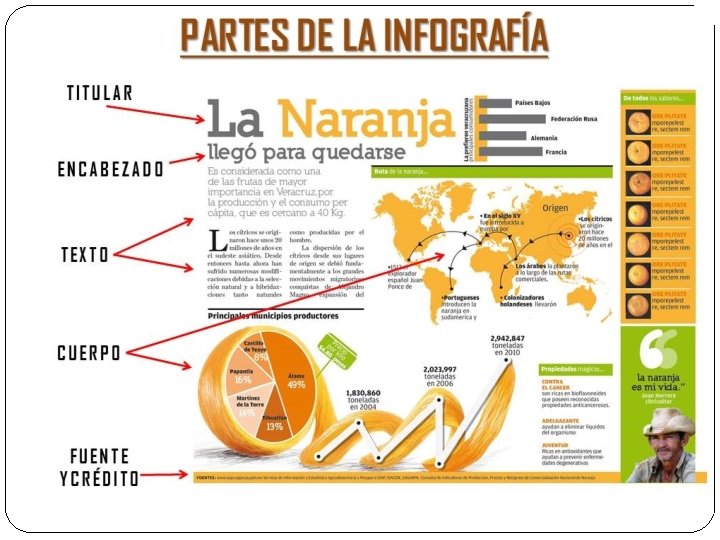 La infografía 