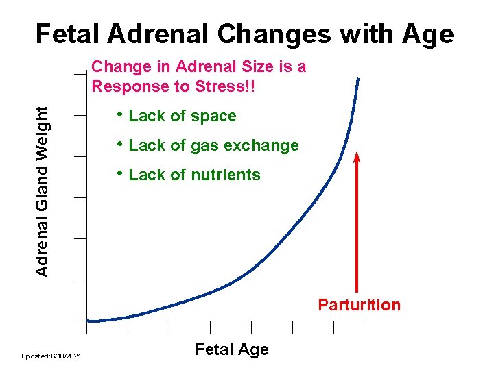 Fetal Adrenal Changes with Age Adrenal Gland Weight Change in Adrenal Size is a