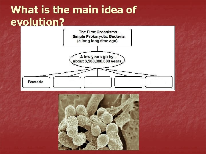 What is the main idea of evolution? 