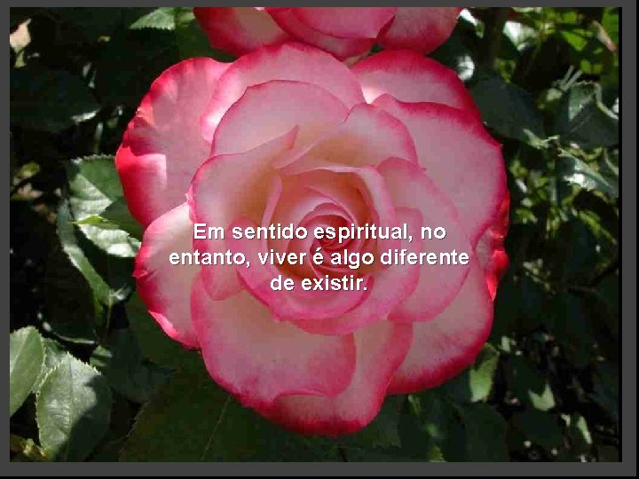 Em sentido espiritual, no entanto, viver é algo diferente de existir. 