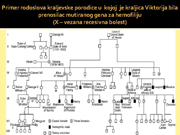 Primer rodoslova kraljevske porodice u kojoj je kraljica Viktorija bila prenosilac mutiranog gena za