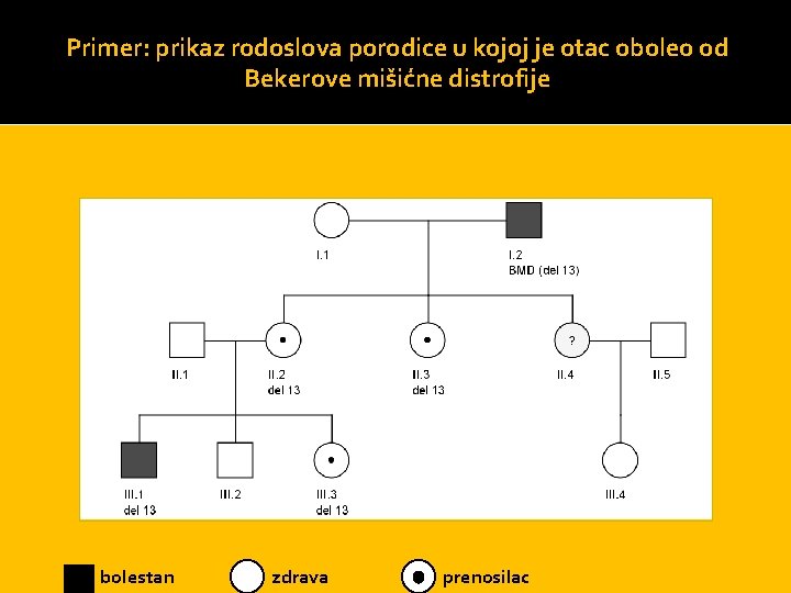 Primer: prikaz rodoslova porodice u kojoj je otac oboleo od Bekerove mišićne distrofije bolestan