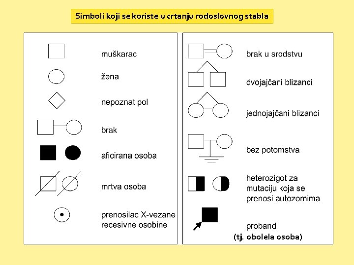 Simboli koji se koriste u crtanju rodoslovnog stabla (tj. obolela osoba) 