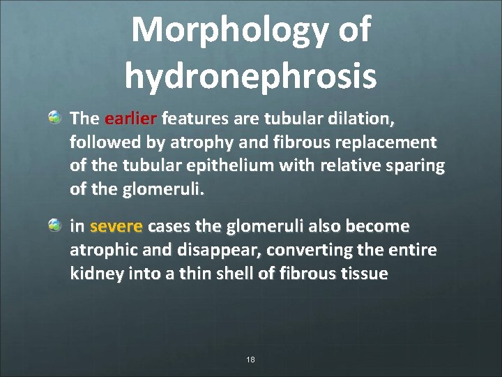 Morphology of hydronephrosis The earlier features are tubular dilation, followed by atrophy and fibrous