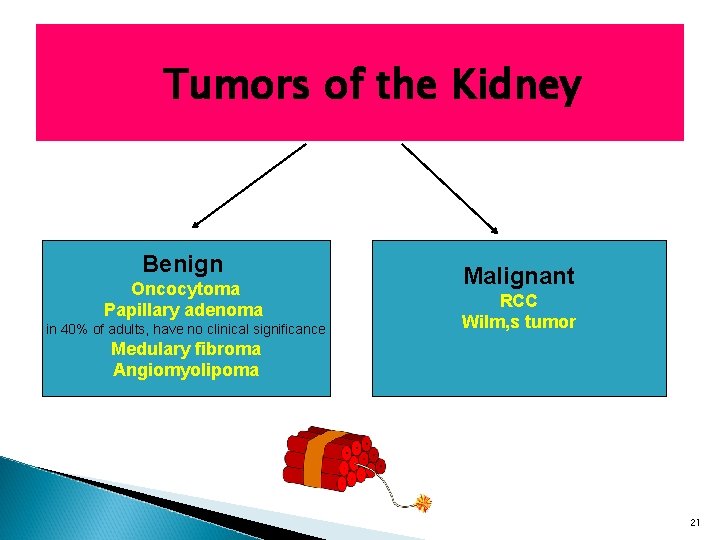 Tumors of the Kidney Benign Oncocytoma Papillary adenoma in 40% of adults, have no