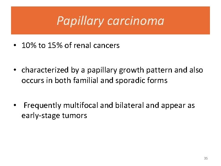 Papillary carcinoma • 10% to 15% of renal cancers • characterized by a papillary