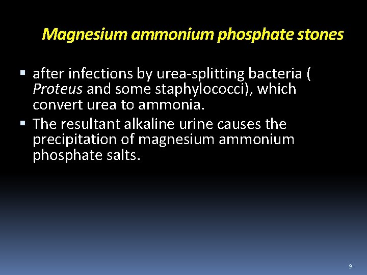 Magnesium ammonium phosphate stones after infections by urea-splitting bacteria ( Proteus and some staphylococci),