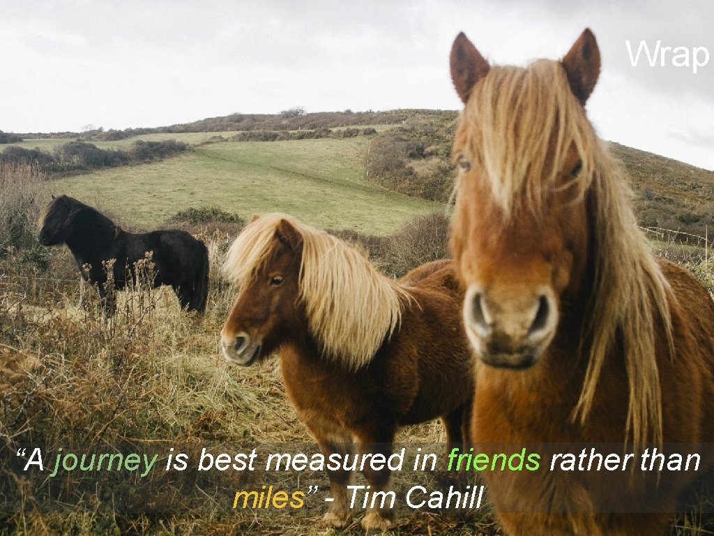Wrap “A journey is best measured in friends rather than miles” - Tim Cahill