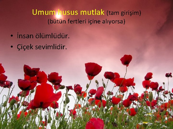 Umum husus mutlak (tam girişim) (bütün fertleri içine alıyorsa) • İnsan ölümlüdür. • Çiçek