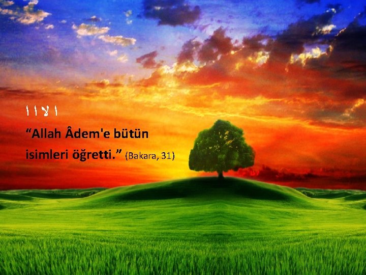  ﺍﻻﺍﺍ “Allah dem'e bütün isimleri öğretti. ” (Bakara, 31) 