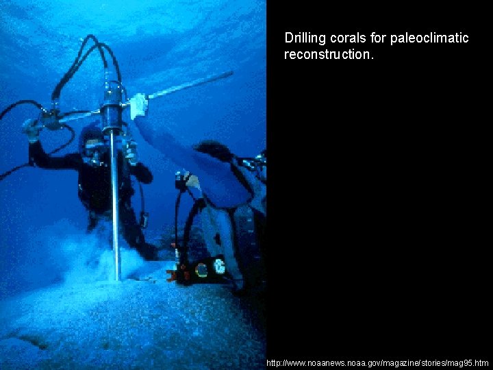 Drilling corals for paleoclimatic reconstruction. http: //www. noaanews. noaa. gov/magazine/stories/mag 95. htm 