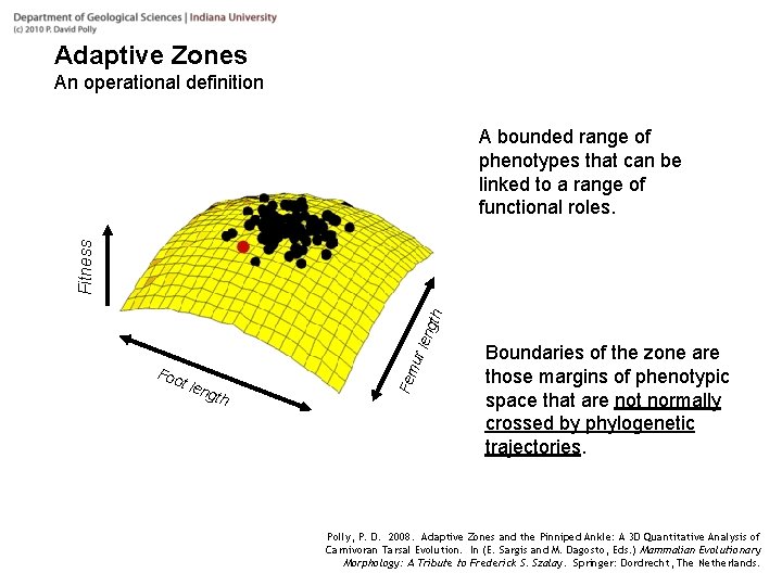 Adaptive Zones An operational definition t le ngt h Fem Foo ur l eng