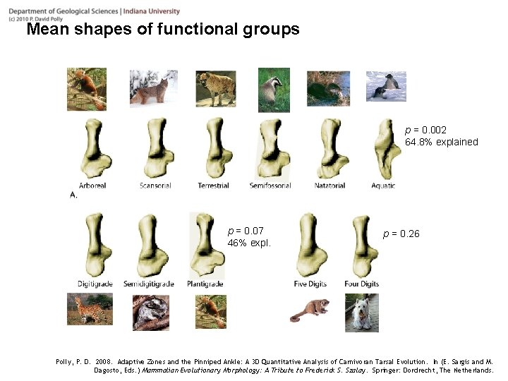 Mean shapes of functional groups p = 0. 002 64. 8% explained p =