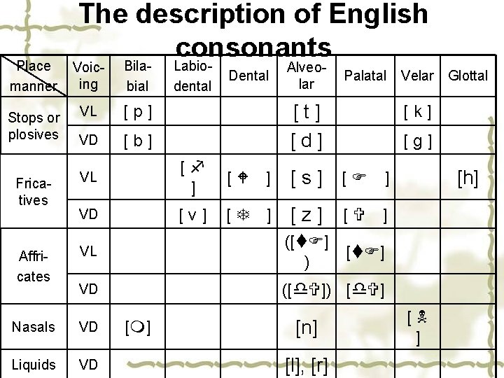 The description of English consonants Place manner Voicing Bilabial Stops or plosives VL [p]