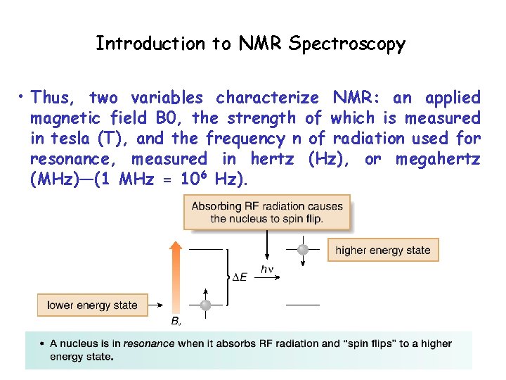 Introduction to NMR Spectroscopy • Thus, two variables characterize NMR: an applied magnetic field