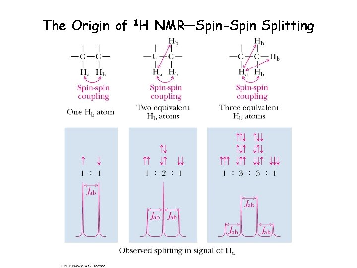 The Origin of 1 H NMR—Spin-Spin Splitting 